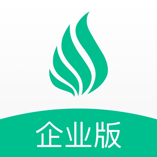 观心企业版logo