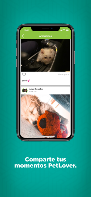 PetLover App(圖7)-速報App