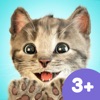 Little Kitten App