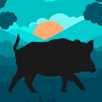 Wild Hog Hunting Calls