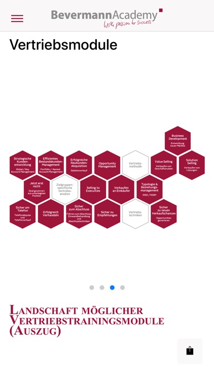 BevermannAcademy Expertise Rep