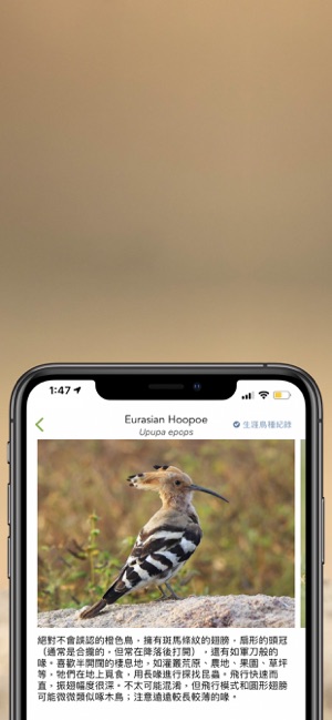 Merlin 鳥種識別 by Cornell Lab(圖3)-速報App