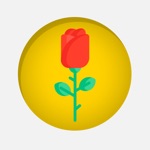 Red Rose Day