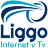 Liggo Tv