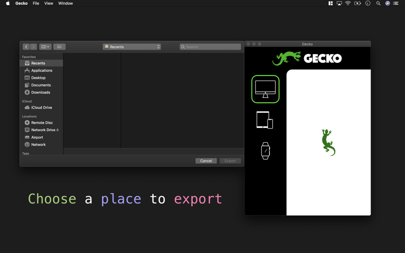 Gecko screenshot 3
