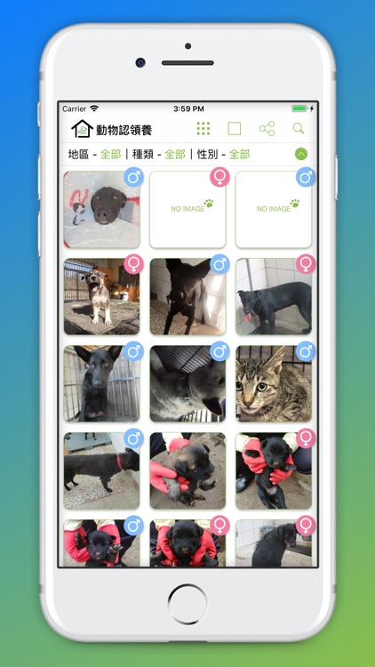 Pet adoption + screenshot-3