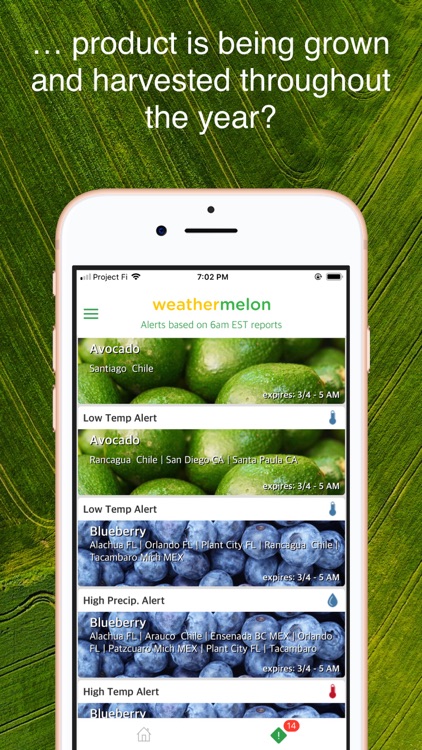 Weathermelon