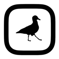 Grabit Pro for Instagram