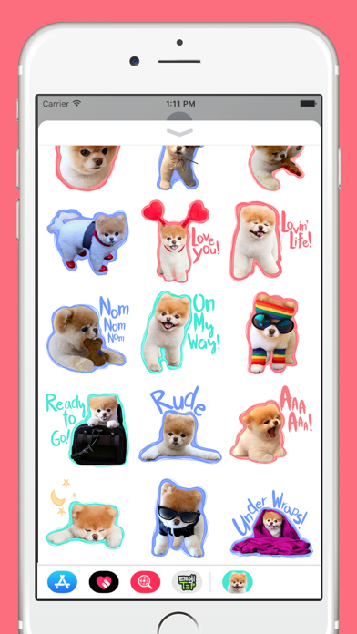 Boo: World's Cutest Dog screenshot 4