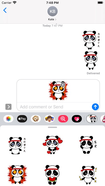 Panda baby Sticker