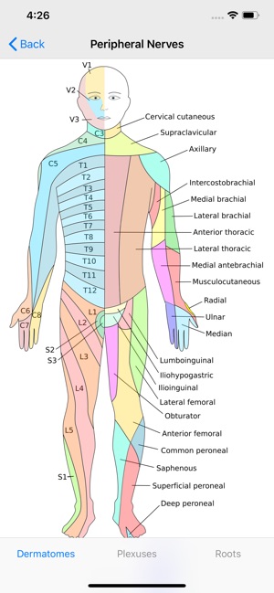 Neuro Assistant(圖2)-速報App