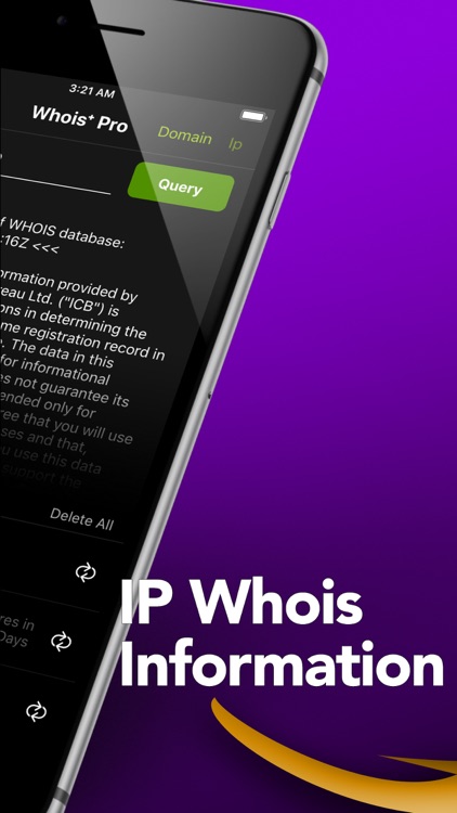 Whois+ Domain & IP Search