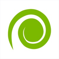 Kiwi Campers pour PC