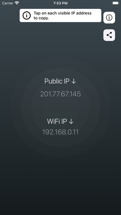 Find IP • Public & WiFiのおすすめ画像1