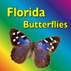 Southern Florida Butterflies - I.M.D. Publicacion C.A.
