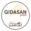 Gidasan