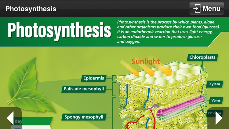 Biology GCSE screenshot-5