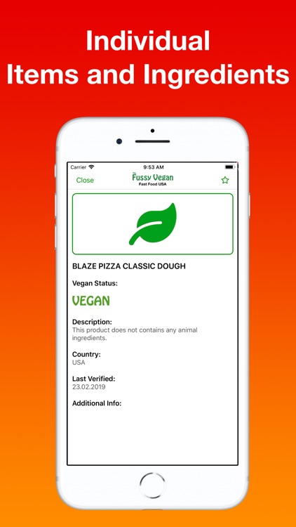 Fussy Vegan Fast Food USA
