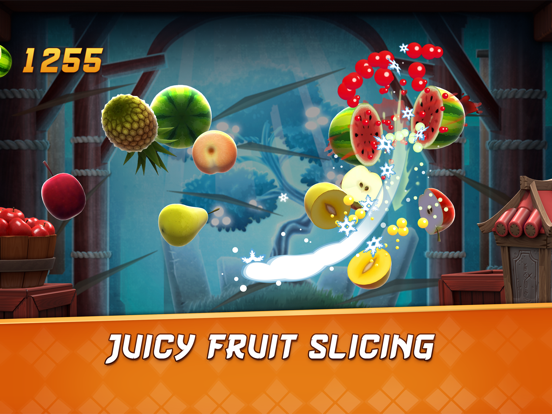 iPad Image of Fruit Ninja 2