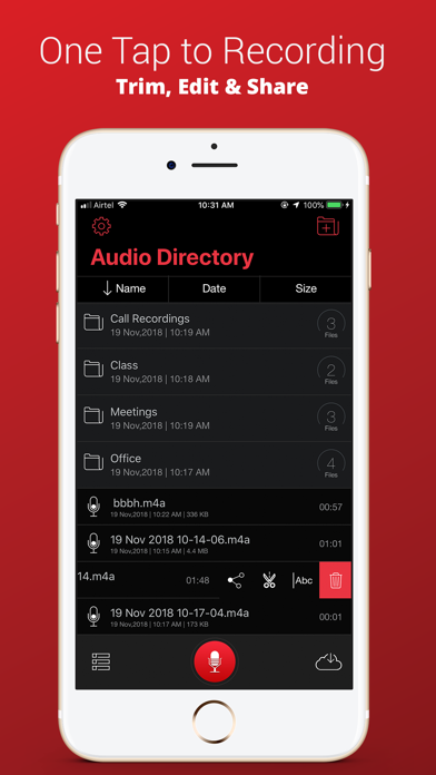 Audio Recorder Plus Pro Screenshot 2