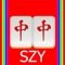 Icon Mahjong Domino by SZY