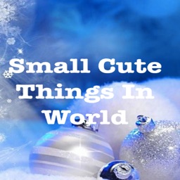 SmallCuteThingsInWorld