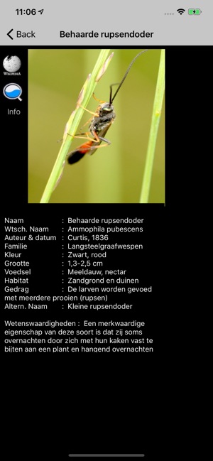 Insecten(圖3)-速報App