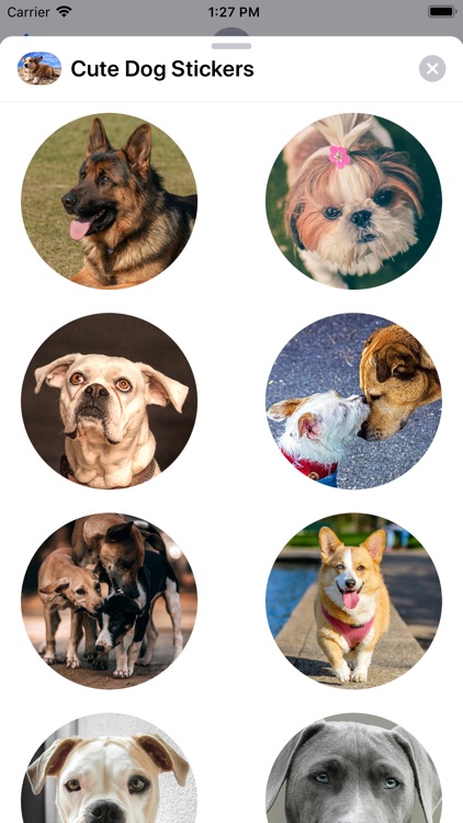 Cute Dog Sticker Set screenshot-4