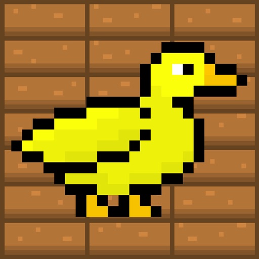 Ducko