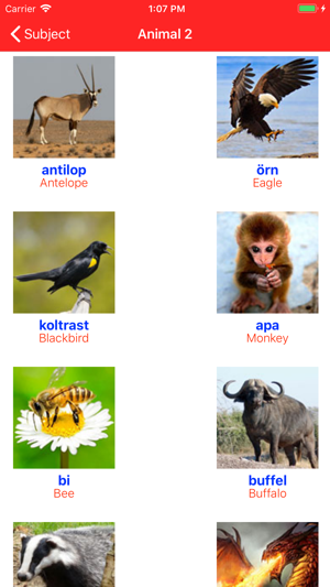 Learn Swedish Voca(圖4)-速報App