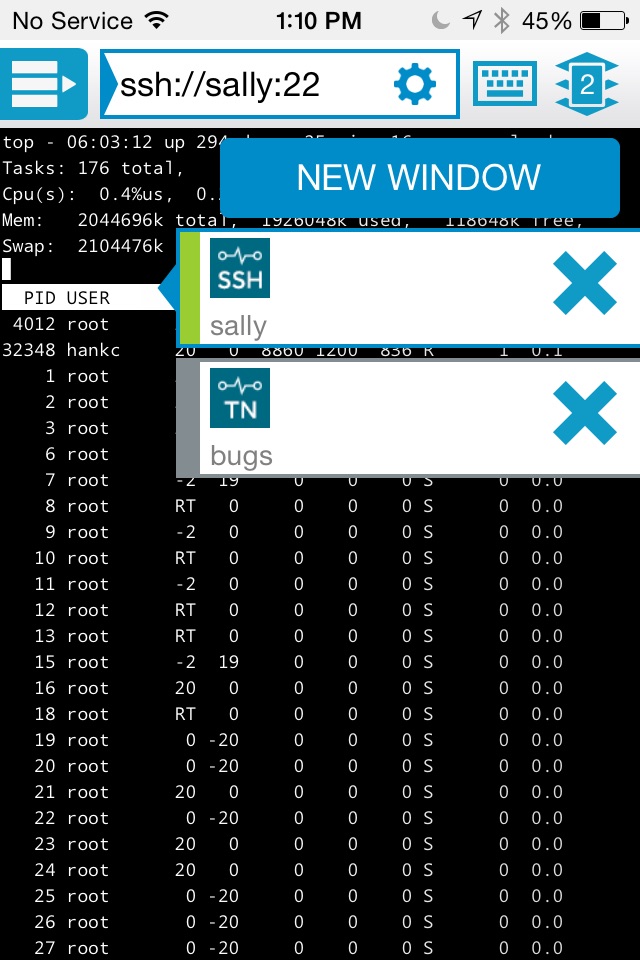 Reflection for UNIX SSH Client screenshot 2