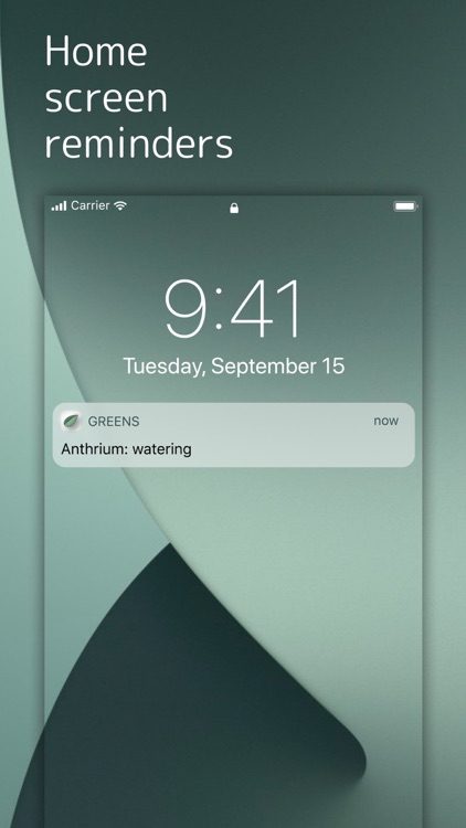 My GreenS screenshot-4