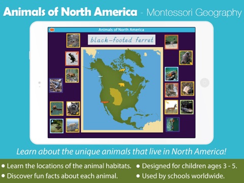 Animals of North America - náhled