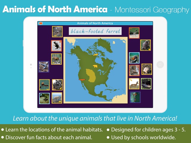 Animals of North America(圖1)-速報App