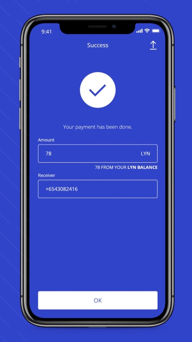 LynPay screenshot 4