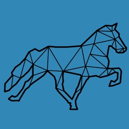 The Icelandic Stable