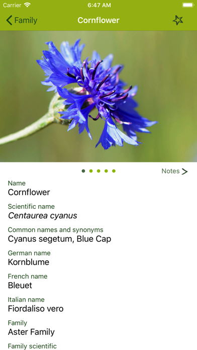 Wildflower Finder Switzerland screenshot 3