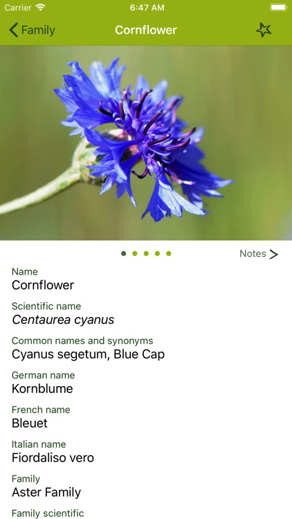Wildflower Finder Switzerland screenshot-2