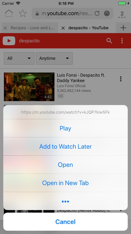RedApp Web Browser screenshot-5