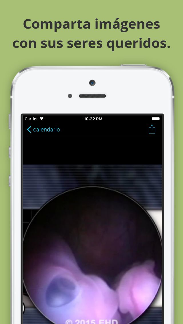 Guía de embarazo See Baby