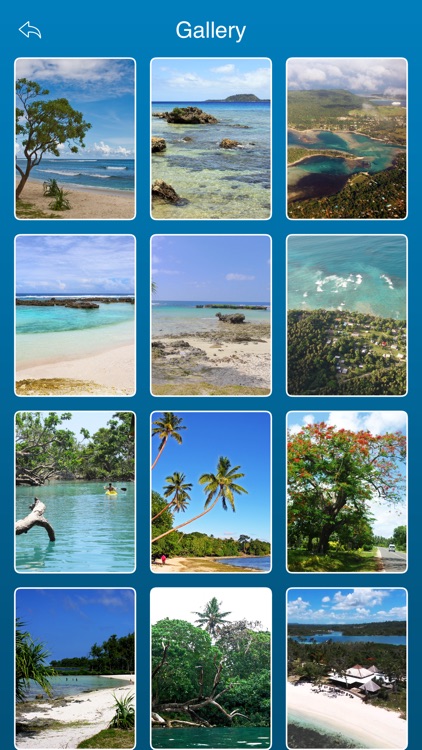 Efate Island Travel Guide screenshot-4