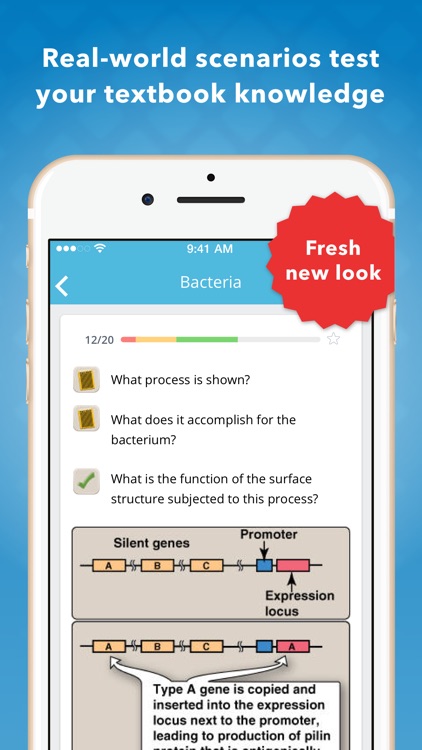 USMLE Microbiology Flashcards