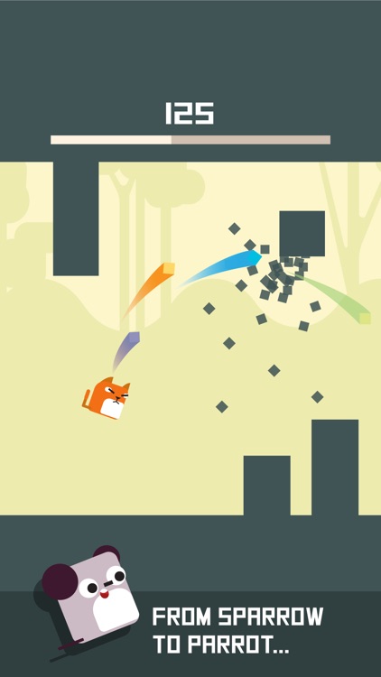 Square Bird Watch - Block Jump