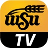 WSUtv