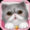 【BEST CAT GAME ON YOUR MOBILE DEVICE】