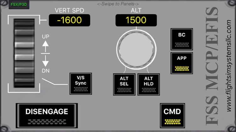 FSS MCP/EFIS