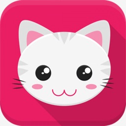 Cat toys (Sound/Game for Cats)