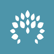 Widgets for YNAB