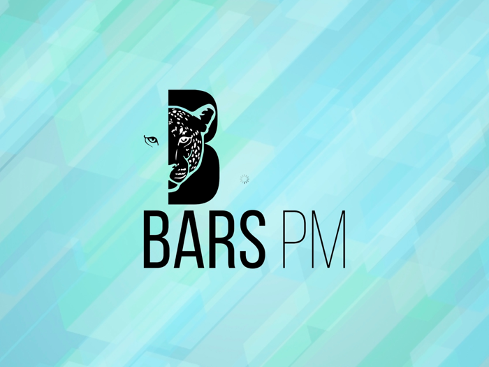 Учебный Центр BARS PM