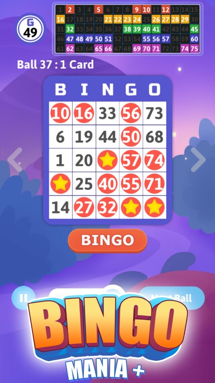 Bingo Mania +